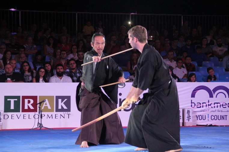 Martial Arts Festival
